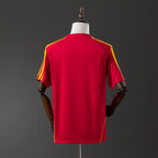 Spain Local 2010