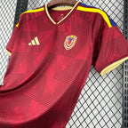 Venezuela Local 2026