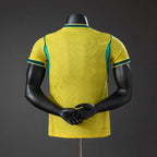 Brazil Local Player Version2026