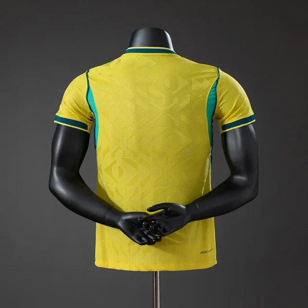 Brazil Local Player Version2026