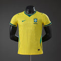 Brazil Local Player Version2026