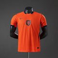 Holanda Local Player Version 2026