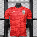 Corea del Sur Local Player Version 2026